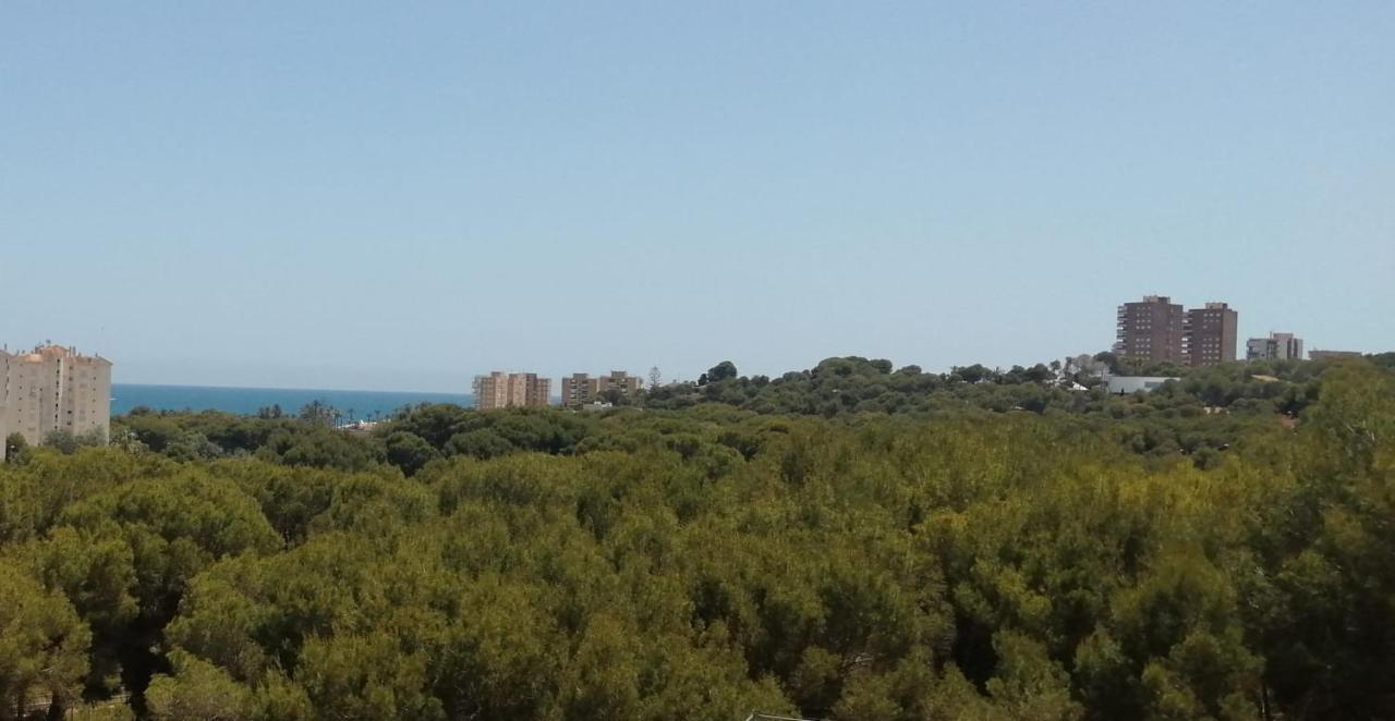 Campoamor Seaview ภายนอก รูปภาพ