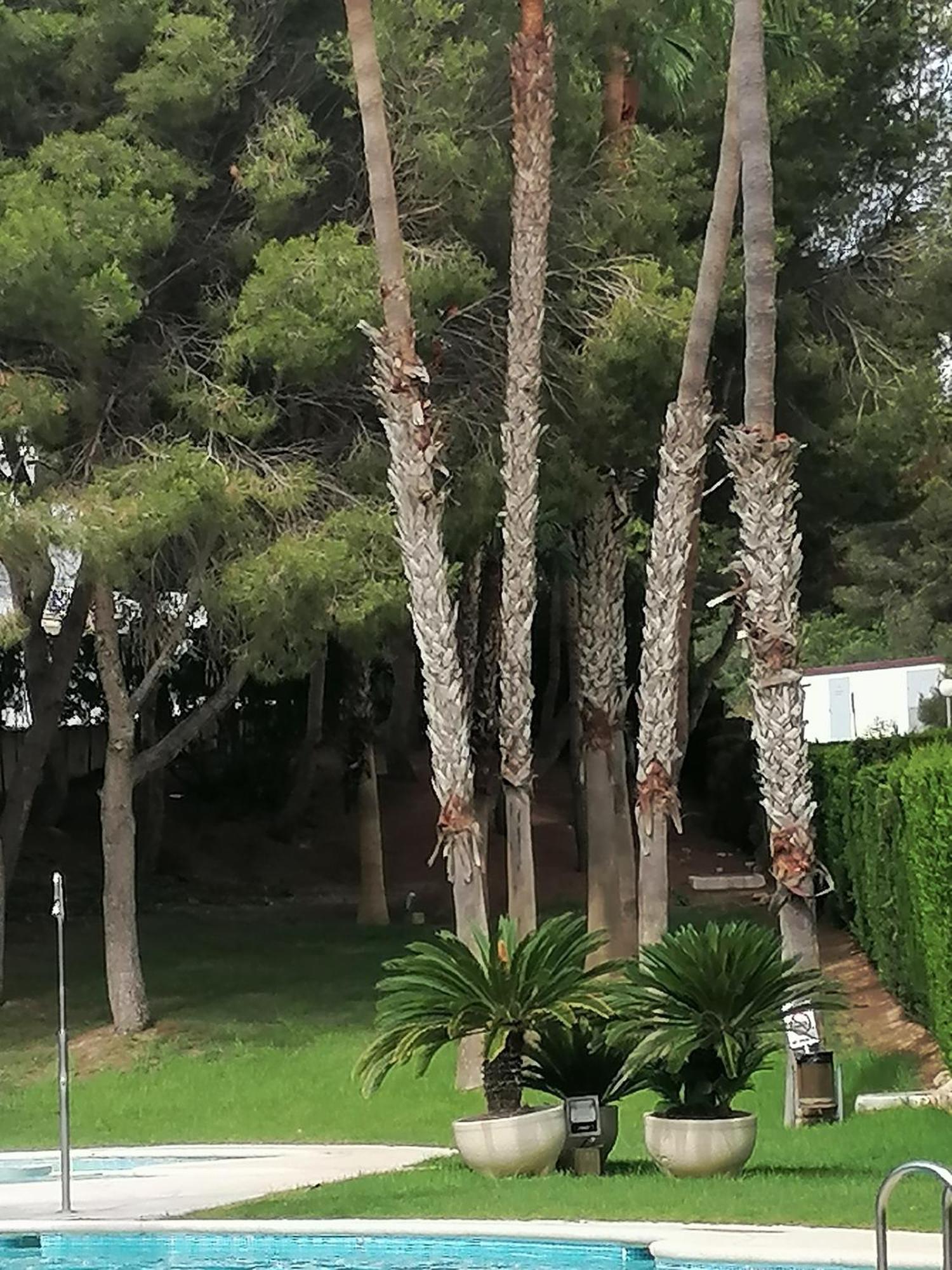 Campoamor Seaview ภายนอก รูปภาพ